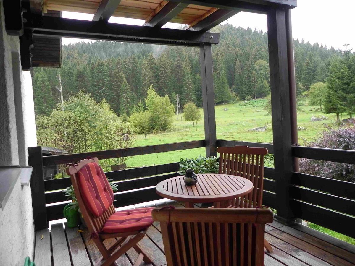 Gaestehaus Seewald Schluchsee Εξωτερικό φωτογραφία
