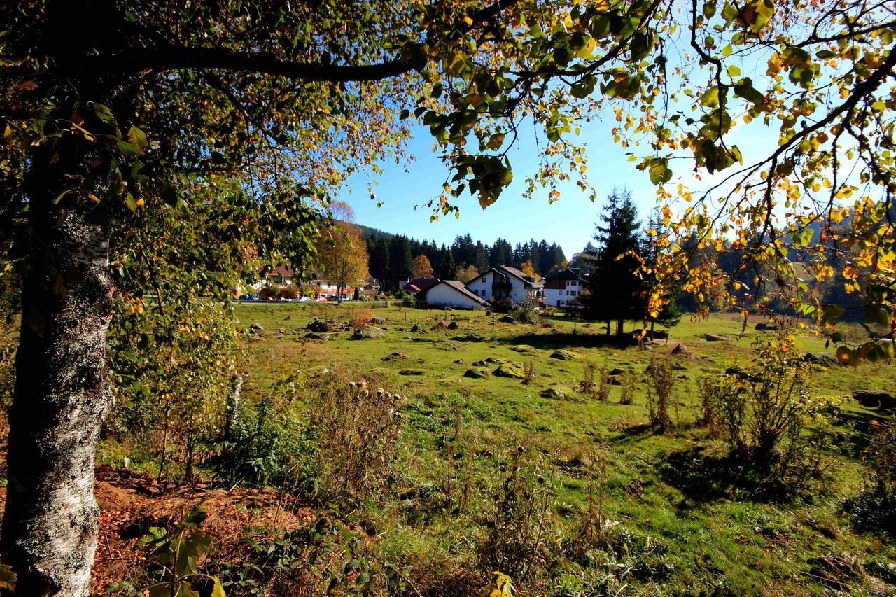 Gaestehaus Seewald Schluchsee Εξωτερικό φωτογραφία