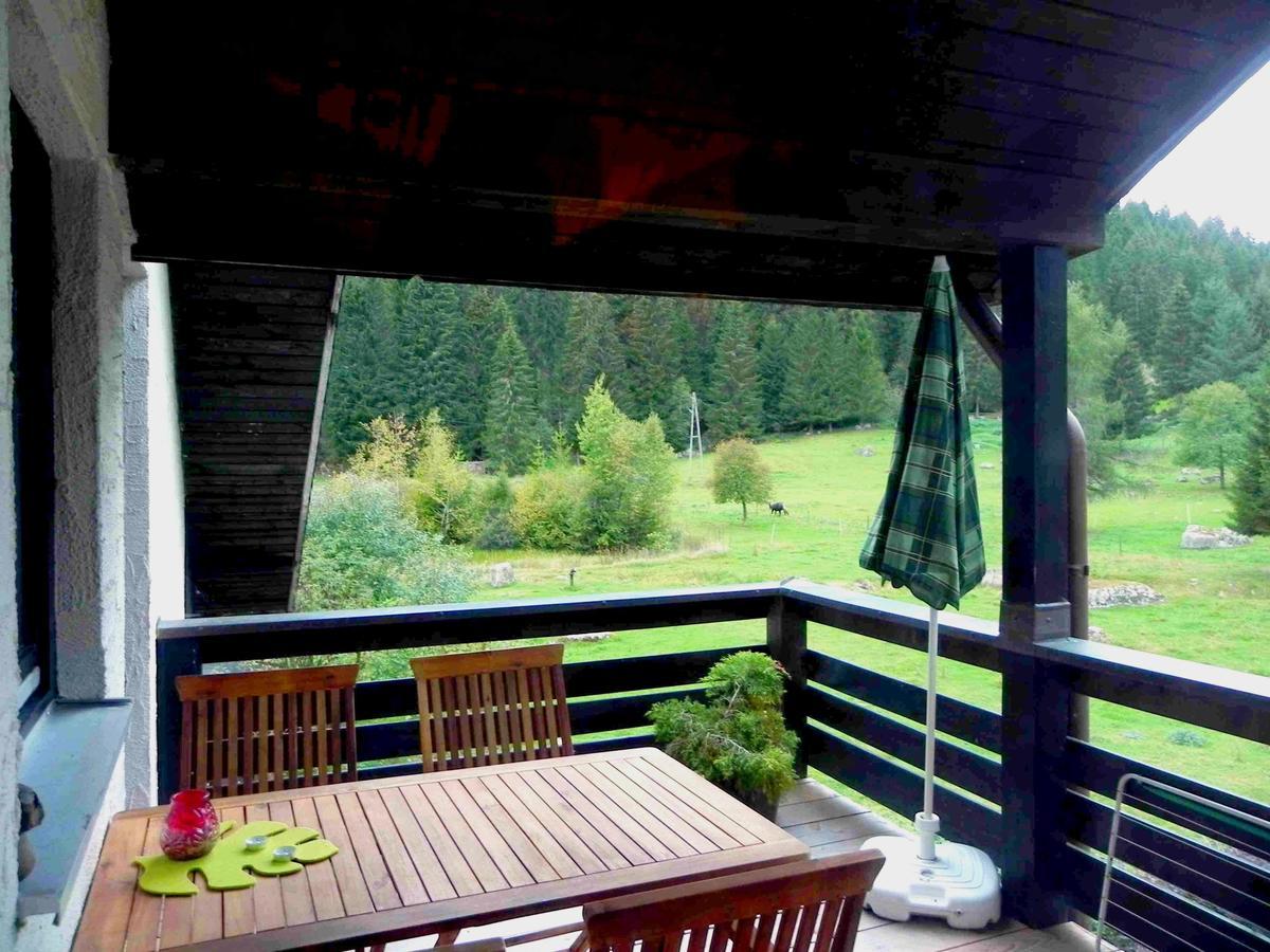 Gaestehaus Seewald Schluchsee Εξωτερικό φωτογραφία