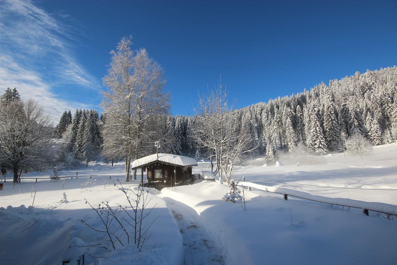 Gaestehaus Seewald Schluchsee Εξωτερικό φωτογραφία
