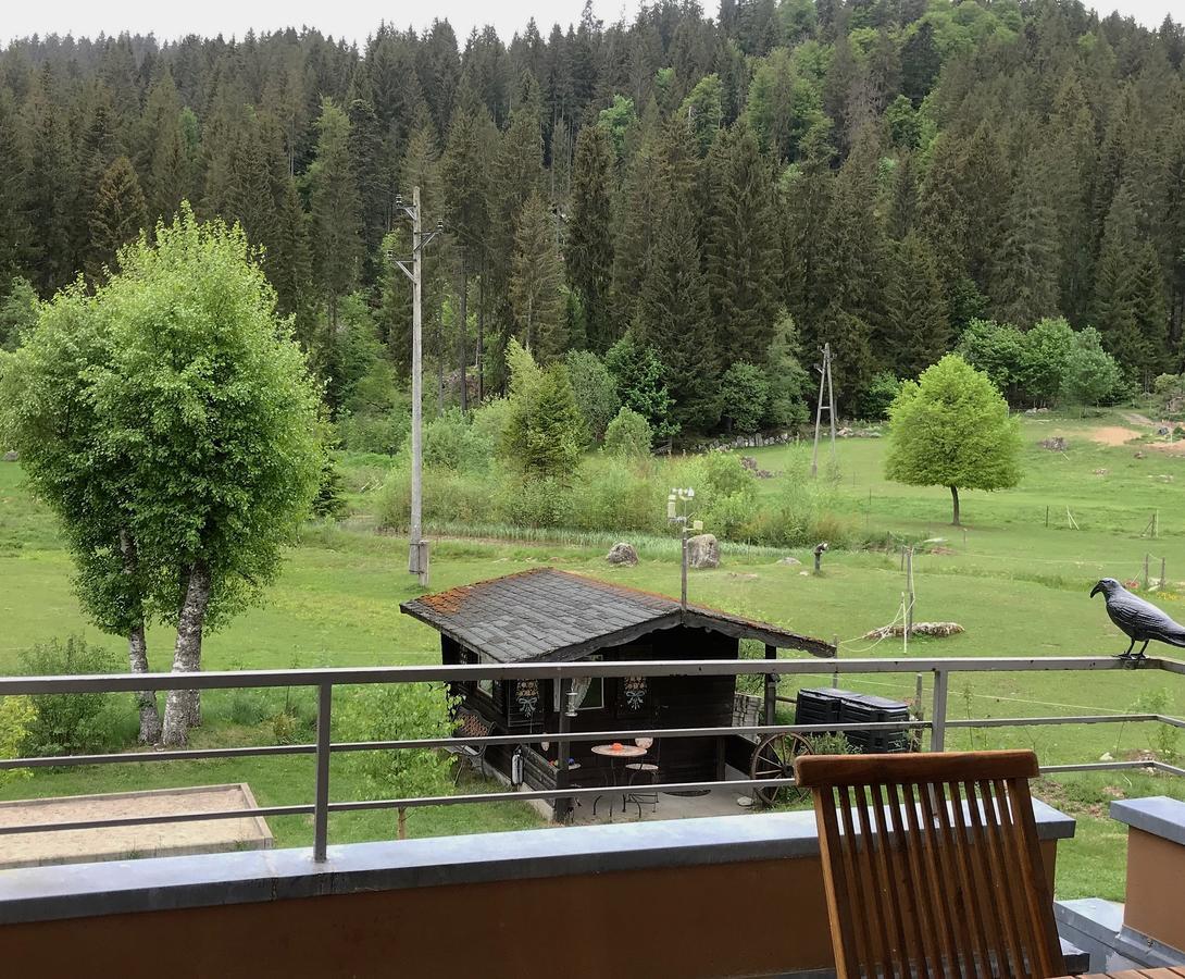 Gaestehaus Seewald Schluchsee Εξωτερικό φωτογραφία